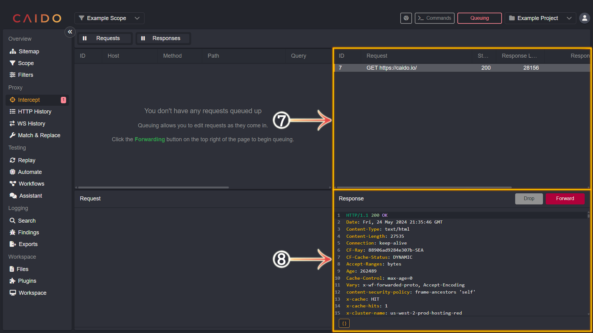 Intercept layout - response panes.