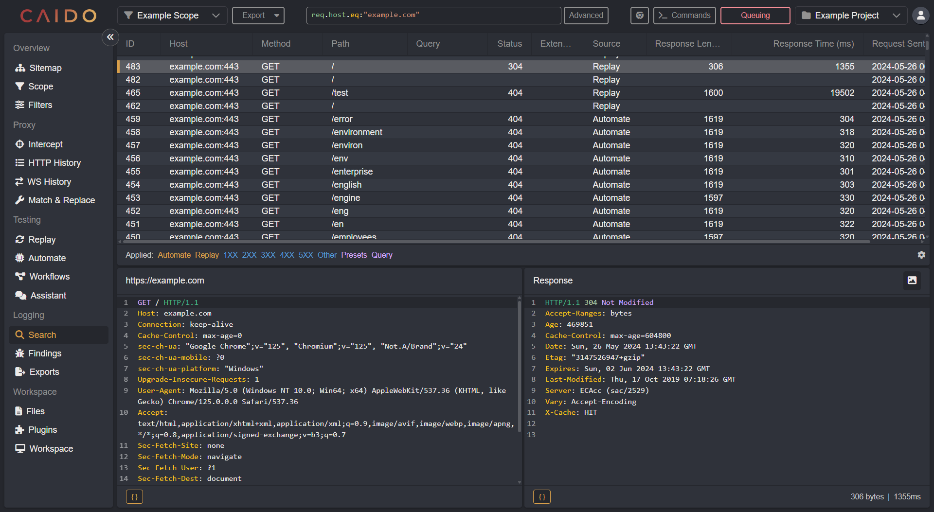 Caido overview.